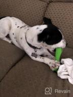 img 1 attached to Indestructible Dog Chew Toys For Large Breeds - Oneisall Bone Chew Toy For Aggressive Chewers review by Jeff Remol
