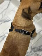 img 1 attached to Adjustable Nylon Dog Harness With ID Tag For Comfortable And Safe Outdoor Walks - PUPTECK No-Pull Puppy Vest review by Janet Harris