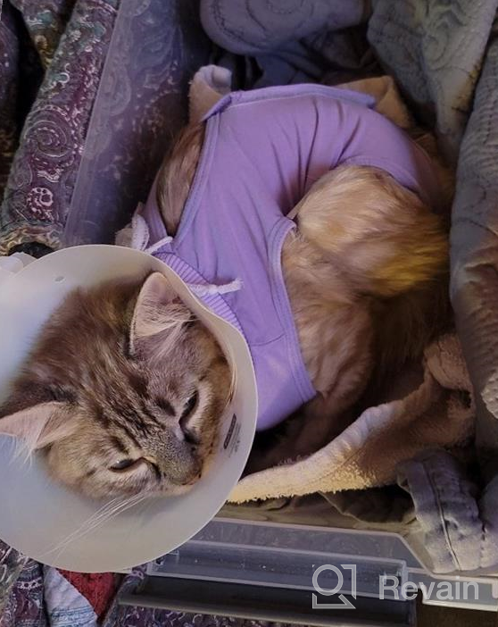 img 1 attached to Cat Surgery Recovery Suit: Surgical Abdominal Wound Protection For Indoor Pets - E-Collar Alternative Post-Surgery Pajama Suit review by Andrew Carrao