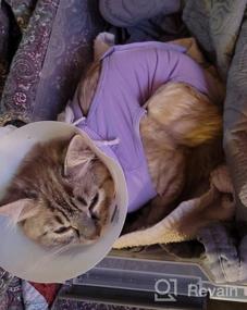 img 7 attached to Cat Surgery Recovery Suit: Surgical Abdominal Wound Protection For Indoor Pets - E-Collar Alternative Post-Surgery Pajama Suit
