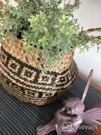 img 1 attached to 3-Piece LE TAUCI Woven Seagrass Plant Baskets - 7+7.8+10.2 Inch, Home Storage & Decor Planter Pot (S+M+L) review by Chadwick Webster