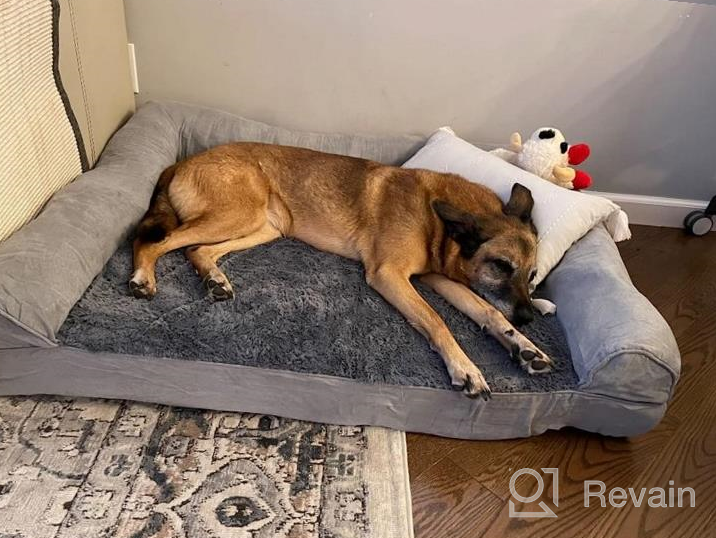 img 1 attached to Medium Memory Foam Dog Bed By Furhaven - Comfy Couch Plush Decor Sofa-Style With Removable & Washable Cover, Diamond Gray - Ideal For Small To Medium-Sized Dogs review by John Wei