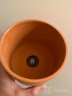 img 1 attached to Set Of 2 - 4.5" Terracotta Clay Plant Pots W/ 3 Legs & Saucer | Indoor Succulent Planters review by Ken Perry