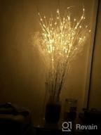 img 1 attached to Lighted Branches With 150 Warm White And Multicolor Fairy Lights, 8 Functions, 32 Inches - Perfect For Room And Christmas Holiday Decorations, By Hairui review by Casey Collins