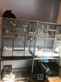 img 6 attached to Spacious Wrought Iron Double Breeding Bird Cage With Slide-Out Divider, 3 Levels Of Abode For Parrots, Cockatiels, And Conures, 63" L X 19" D X 64" H With Rolling Stand