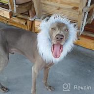 img 1 attached to Lion Mane Wig With Ears For Dogs - Funny Halloween And Christmas Pet Costume (Size Large, White) By Onmygogo review by Tykesha Boothe