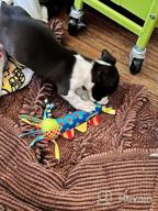 img 1 attached to Pet Stages Cool Teething Stick Dog Toy review by Myron Lovro