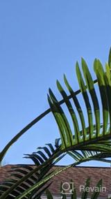 img 6 attached to Искусственная пальма Real Touch с защитой от ультрафиолетового излучения - высота 6,3 фута, устойчивая конструкция с тройным стволом, превосходное качество - идеально подходит для вашего дома или офиса, в красивом зеленом цвете AMERIQUE