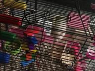 img 1 attached to GalaPet Hamster Habitat: Everything Your Dwarf Hamster Needs In One 18"X12.5"X13.5" Cage review by Rebecca Jones