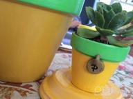 img 1 attached to 48 Pcs 2In Tiny Terracotta Pots W/ Drainage Holes - Perfect For Succulents, Crafts & Wedding Favors! review by Chris Bailey