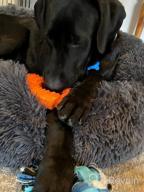 img 1 attached to Large Breed Non-Toxic Natural Rubber Dog Toys For Aggressive Chewers - Durable, Long-Lasting & Indestructible Fun To Chew, Chase And Fetch (Green) review by Rebecca Sparks