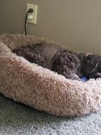 img 1 attached to Calming Dog Bed Donut For Small And Medium Pets - Anti-Anxiety Fluffy Bed By NOYAL review by Bill Kodba