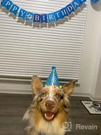 img 1 attached to Celebrate Your Pup'S Big Day With TCBOYING'S 11-Piece Dog Birthday Set – Blue Bandana, Hat, Scarf, Flags, Balloons & More! review by Dan Weeman