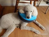 img 1 attached to GoodBoy Pink Inflatable Donut E-Collar For Dogs & Cats – Comfortable Post Surgery Or Wound Recovery Collar (2) review by Darrell Kiley