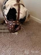 img 1 attached to Secure And Breathable Leather Basket Muzzle For Boxer And Bulldog Breeds - Anti-Bark And Chew Solutions review by Craig Kimball