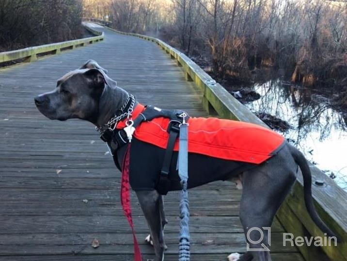 img 1 attached to RUFFWEAR Cloud Chaser Waterproof Insulated Jacket For Dogs - Obsidian Black, Large review by Liz Pacheco