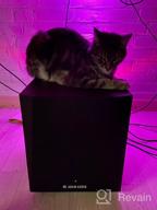 img 1 attached to 🔊 Adam T10S Black Subwoofer review by Aneta Ambroziak ᠌