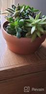 img 1 attached to Set Of 2 POTEY 6.1" Terracotta Planters W/ Drainage Hole For Succulent & Cactus review by Kartik Starks