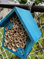 картинка 1 прикреплена к отзыву FSC Certified Wood Mason Bee House For Solitary Bees - Attract Pollinators To Your Garden With Bamboo Tube Hotel. от Brian Healy