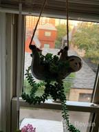 img 1 attached to Grey Ceramic Sloth Hanging Planter Flower Pot Plant Holder For Succulent, Cactus, Air Plants, Herbs Indoor And Outdoor Decor By Luckybunny review by Duane Rogers