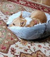img 1 attached to Grey Anti-Anxiety Donut Dog Bed For Small Medium Dogs - Calming Pet Cuddler Bed With Soft Plush Faux Fur, Machine Washable And Anti-Slip Bottom By JOEJOY review by Gerard Hudson
