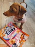 img 1 attached to Delicious & Nutritious INABA Churu Bites - Grain-Free Soft Chewy Chicken & Tuna Treats For Dogs With Vitamin E - 64 Tubes (8 Per Pack) review by Rachael Taylor