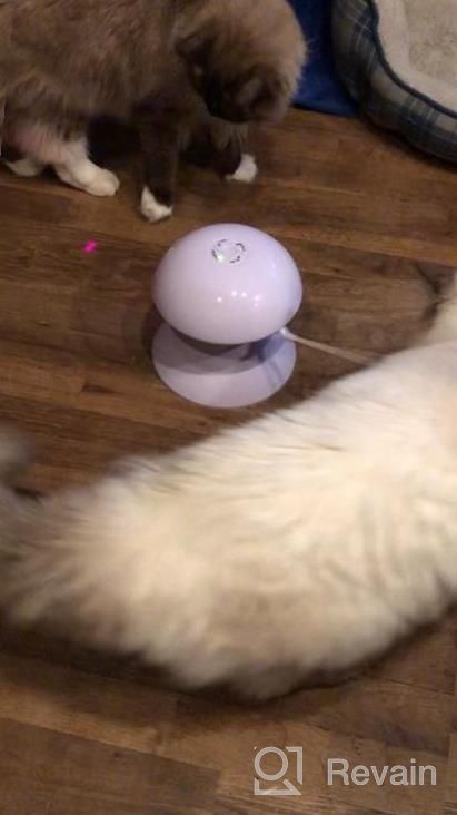 img 1 attached to Cat Laser Toys, 3 In 1 Tumbler Interactive Cat Toys, Laser And Feather Toys For Indoor Cats Kittens Pets, Rechargeable Automatic Cats Chaser Toy With Laser,3 Speed Modes,3 Timer Settings review by Tyra Smith