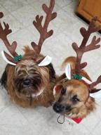 img 1 attached to Midlee Brown Reindeer Dog Antlers Headband With Jingle Bell- Pet Christmas Costume review by Sony Bailey