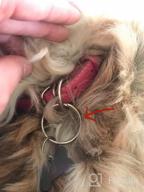 картинка 1 прикреплена к отзыву Red Rolled Leather Dog Collar For Small To Large Dogs - 9''-11'', BRONZEDOG от Nick Shirodkar