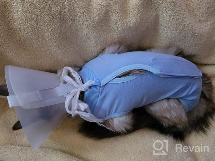 img 1 attached to Cat And Dog Surgical Recovery Suit With E-Collar Alternative - Professional Abdominal Wound Protection And Comfortable Onesie Pajama For Post-Surgery Pets, Ideal For Cats review by Hanson Kendrick