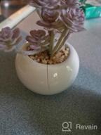 img 1 attached to Bring Home The Beauty Of Lvydec'S Mini-Sized Artificial Succulent Plants In Porcelain Pots - Perfect For Home, Bath, Or Office Decor! review by Mark Harrison