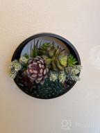 img 1 attached to Ecosides Round Indoor Wall Succulent Hanging Planter, Metal Decorative Freestanding Mount Holder With Glass For Air Plants, Faux Flower,Set Of 3 (White) review by Tom Schuster