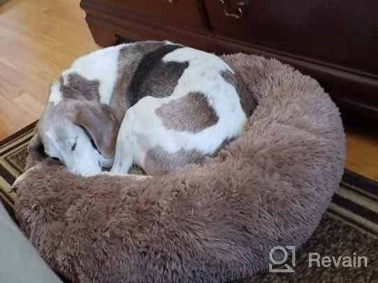 img 1 attached to Ultimate Comfort With PUPPBUDD'S Self-Warming Faux Fur Dog Bed - Perfect For Small Dogs Up To 35Lbs review by Jose Perry