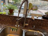 img 1 attached to Upgrade Your Kitchen With GAPPO'S Commercial Solid Brass Matte Black Faucet With Pull-Down Sprayer review by Shane Solorzano