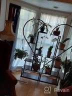 img 1 attached to 6 Tier Half Heart Metal Plant Stand - Perfect For Home Garden & Patio Decor! review by David Bartan