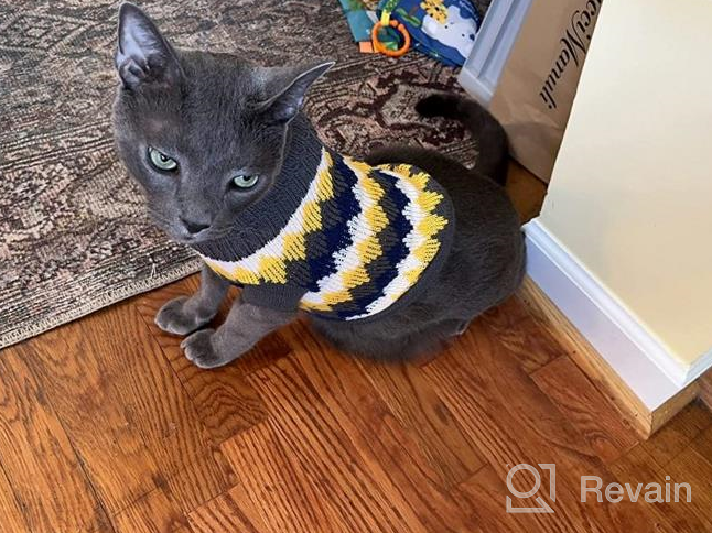 img 1 attached to Cozy Winter Knit Sweater For Cats And Small Dogs - Soft, High-Stretch Pet Clothes By Evursua review by Carlos Krueger