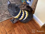 картинка 1 прикреплена к отзыву Cozy Winter Knit Sweater For Cats And Small Dogs - Soft, High-Stretch Pet Clothes By Evursua от Carlos Krueger