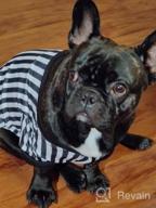 img 1 attached to Midlee Referee Dog Halloween Costume (Large) review by Lisa Appleman