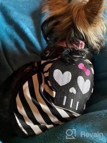 img 4 attached to Stylish Pink Medium-Sized Shirt For Puppy Dogs With Black Skull Face Design - Petitebella