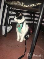 img 1 attached to Adjustable Escape-Proof Cat Harness And Leash Set - Soft And Breathable Walking Jacket For Small Pets, With Durable Metal Leash Ring - Perfect For Kittens And Puppies - Size Medium review by Stephanie Larsen