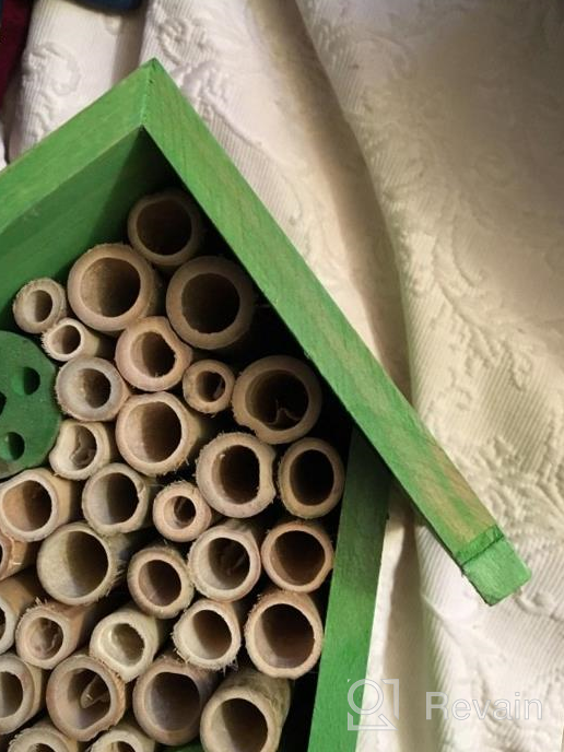 img 1 attached to FSC Certified Wood Mason Bee House For Solitary Bees - Attract Pollinators To Your Garden With Bamboo Tube Hotel. review by Robert Byrd