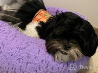 img 1 attached to Calming Dog Bed Donut For Small And Medium Pets - Anti-Anxiety Fluffy Bed By NOYAL review by Kimoni Parson