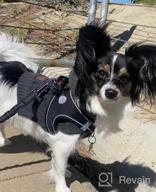 img 1 attached to Breathable Mesh Harness For Small And Medium Dogs With Reflective Soft Padding - Joytale Step-In Harness In 12 Colors (Teal, L) review by Michael Montgomery