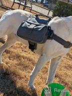 img 1 attached to Ultimate Adventure Pack For Medium & Large Dogs: OneTigris Dog Backpack For Hiking, Camping & Travel (Black) review by Jabari Campbell