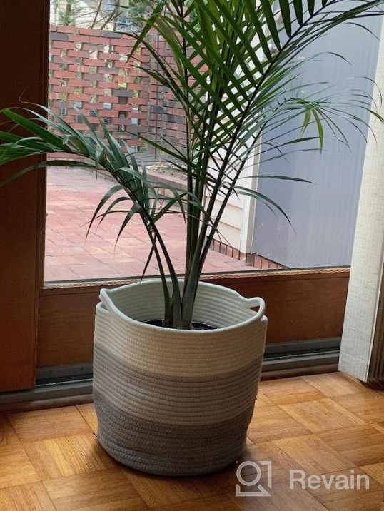 img 1 attached to Stylish And Versatile: OrganiHaus 2-Pack White Woven Baskets For Indoor Plants - 10 & 12 Inch Planter Cover, Flower Pot Wraps, And Fiddle Leaf Fig Pots review by Emmanuel Nguyen