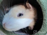 img 1 attached to Small Animal Winter Cage House Bed For Guinea Pigs, Hamsters, Hedgehogs - Gray review by Eric Jackson