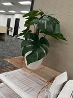 img 1 attached to Enhance Your Home Decor With Lifelike Artificial Plants - 2 Pack Of 16'' Faux Bird Of Paradise And Monstera Deliciosa Plants From KiddosLand review by Darrell Kiley