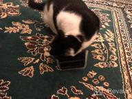 картинка 1 прикреплена к отзыву 🐱 Cat Self Groomer 4-Pack with Catnip Pouch – Corner Massage Comb & Brush for Kitten and Puppy – 2 Black/2 Grey от Roy Ramos