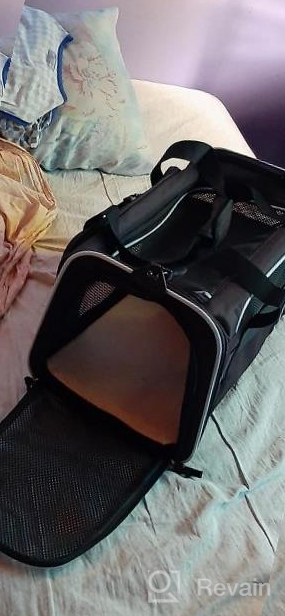 img 1 attached to Travel In Style: Collapsible Blue Cat Carrier For Small To Medium Pets - Airline Approved review by Adrian Retana