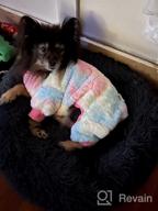 картинка 1 прикреплена к отзыву 🐾 KYEESE Polka Dot Dog Pajamas: Soft & Stretchable Material | Onesie Style Velvet PJs for Small and Medium Dogs от Adrian Smart